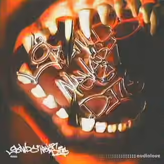 Bsterthegawd WHY NOT KILL? Drumkit [WAV]