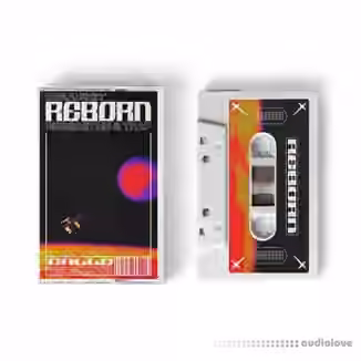 CALLE Reborn Reggaeton and Trap (Sound Library) Vol.1 [WAV]