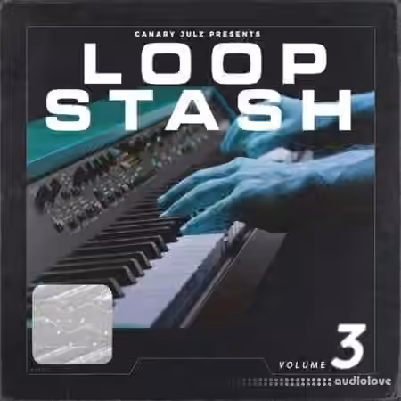 Canary Julz Loop Stash (Volume 3) [WAV]