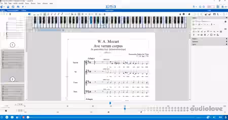 Capella-software Capella v8.0.16 [WiN]
