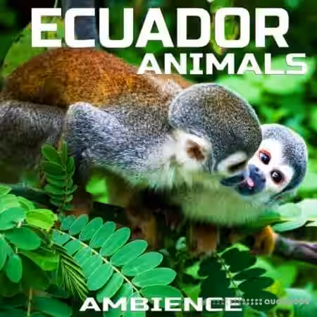Cloud Nine Records Ecuador Animals Ambience [FLAC]