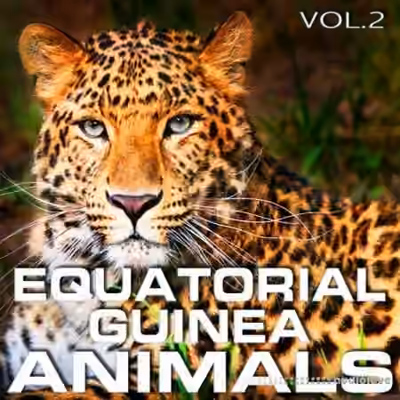 Cloud Nine Records Equatorial Guinea Animals Vol.2 [FLAC]