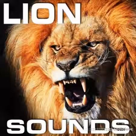 Cloud Nine Records Lion Sounds [FLAC]