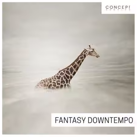 Concept Samples Fantasy Downtempo [WAV]