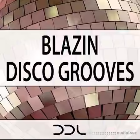 Deep Data Loops Blazin Disco Grooves [WAV, MiDi]