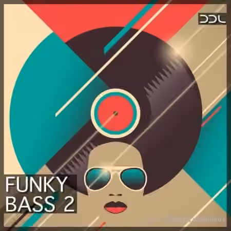 Deep Data Loops Funky Bass 2 [WAV]