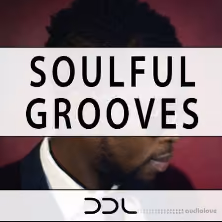 Deep Data Loops Soulful Grooves [WAV, MiDi]
