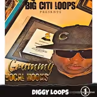 Diggy Loops Grammy Vocal Hooks [WAV]