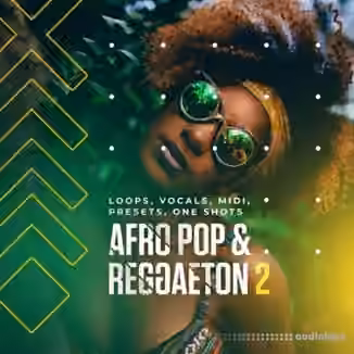 Diginoiz Afro Pop And Reggaeton 2 [WAV, MiDi]