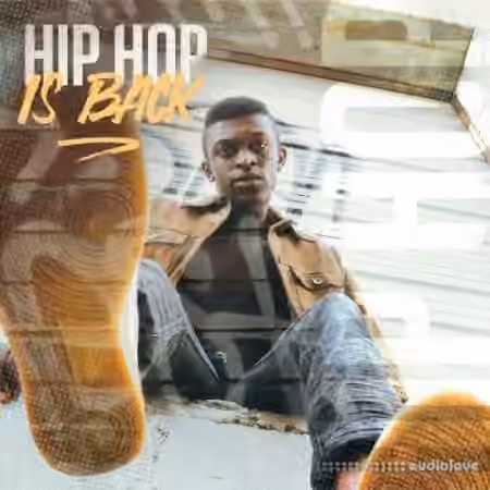 Diginoiz Hip Hop Is Back [WAV]