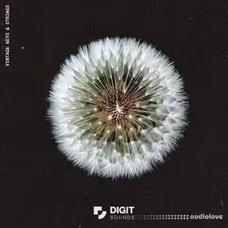 Digit Sounds Vintage Keys and Strings [WAV]