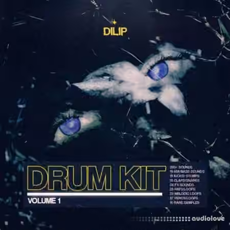Dilip Drum Kit Vol.1 [WAV]