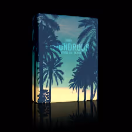 Dinma Beats Wondrous Sound Collection [WAV, DAW Presets]
