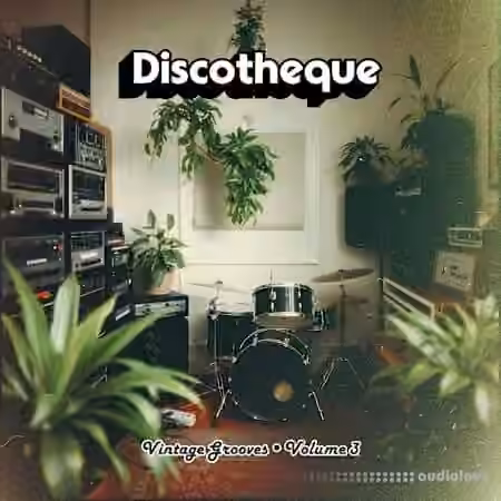 Discotheque Vintage Grooves Vol.3 [WAV]