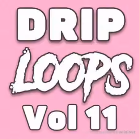 DiyMusicBiz Drip Loops Vol.11 [WAV]