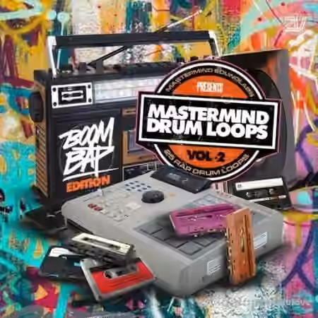 DiyMusicBiz Rap Drum Loops Vol.2 [WAV]