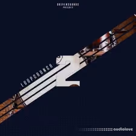 DRIVENSOUNDS LOOPCRUNCH 2 [WAV]