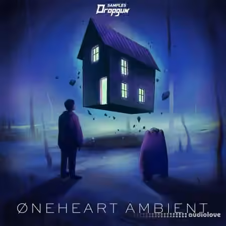 Dropgun Samples Oneheart Ambient [WAV, MiDi, Synth Presets]