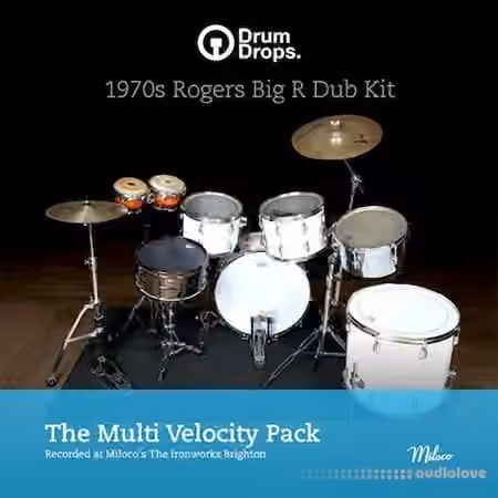 DrumDrops 1970's Roger's Big R Dub Kit Multi Velocity Pack [MULTiFORMAT]