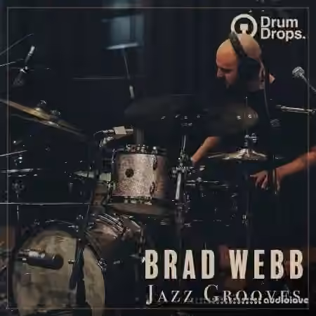Drumdrops Brad Webb Jazz Grooves [WAV]