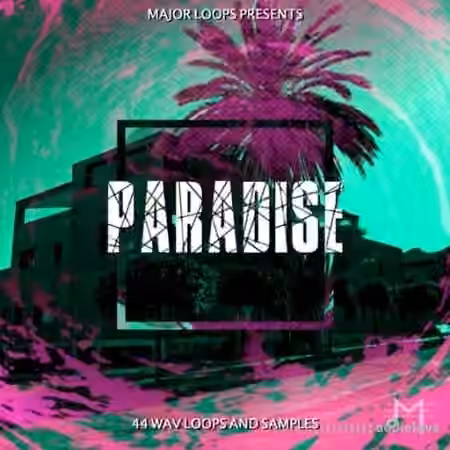 Dynasty Loops Paradise [WAV]