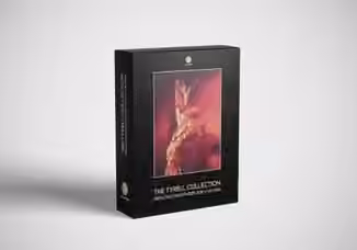 Echotailor The Tyrell Ccollection [Synth Presets]