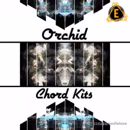 Electronisounds Orchid Chord Kits [WAV]