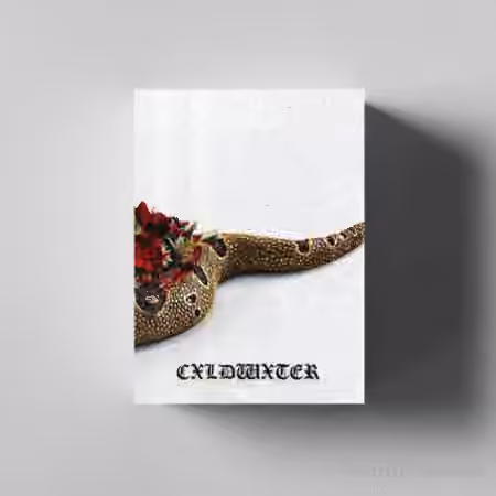 ENIGMA CXLDWXTER (DRUMKIT) [WAV]