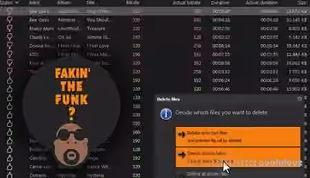 Fakin the Funk v3.0.0.139 [WiN]