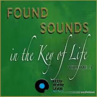 Feed Your Soul Music Found Sounds Vol.3  Sounds in The Key of Life