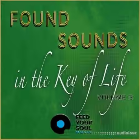 Feed Your Soul Music Found Sounds Vol.3  Sounds in The Key of Life