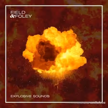 Field and Foley Explosive Sounds [WAV]