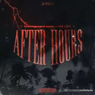 Flame Audio After Hours [Synth Presets]