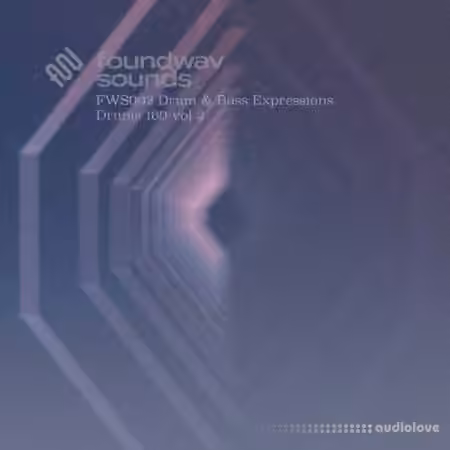 foundwav sounds FWS002 Drum and Bass Expressions Drums 160 Vol 2 [WAV]