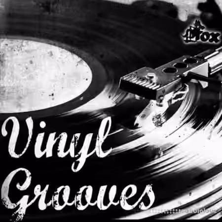 Fox Samples Vinyl Grooves [WAV, MiDi]