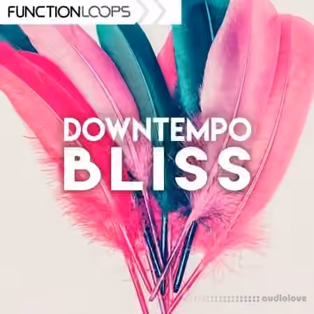 Function Loops Downtempo Bliss [WAV]