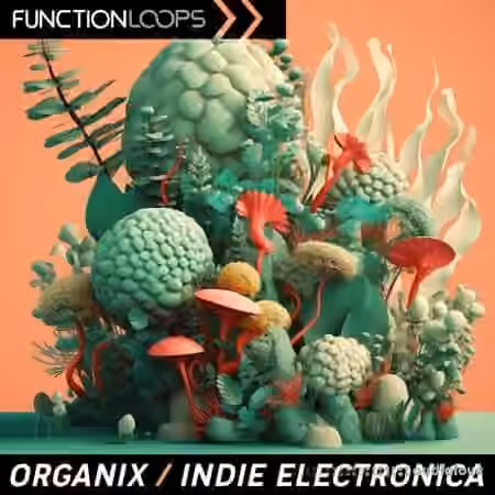 Function Loops Organix Indie Electronica [WAV]
