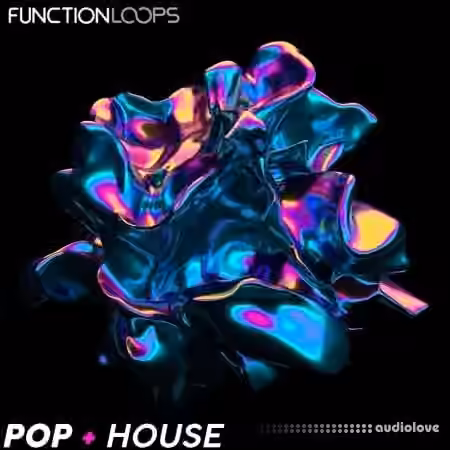 Function Loops Pop + House [WAV]