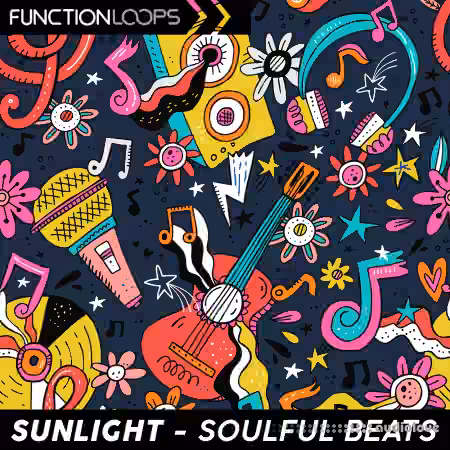 Function Loops Sunlight Soulful Beats [WAV]