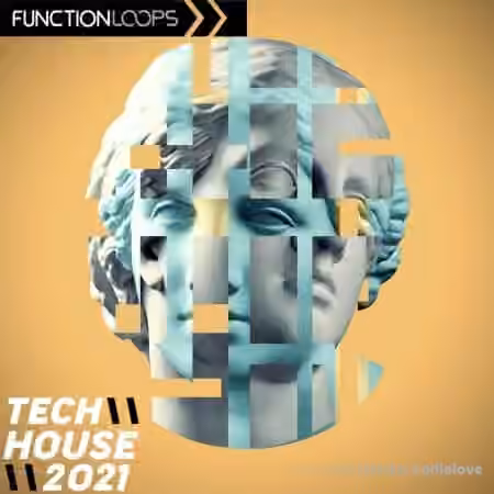 Function Loops Tech House 2021 [WAV]