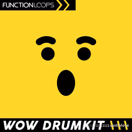 Function Loops Wow Drumkit Hyperpop and Beyond [WAV]