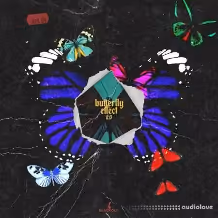 Fxrbes Beats Butterfly Effect 2 [WAV]
