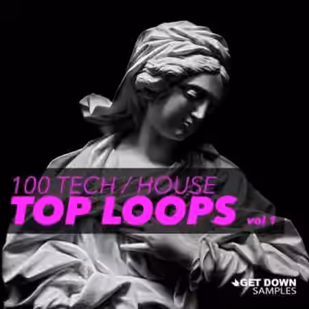 Get Down Samples 100 Tech House Top Loops Vol.1 [WAV]