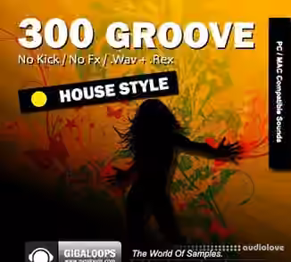 Giga Loops 300 Grooves House Style [WAV, REX]