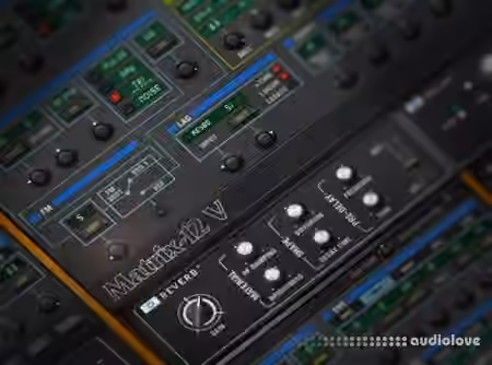 Groove3 Arturia Matrix-12 V Explained [TUTORiAL]
