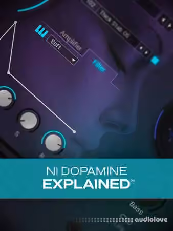 Groove3 NI Dopamine Explained [TUTORiAL]
