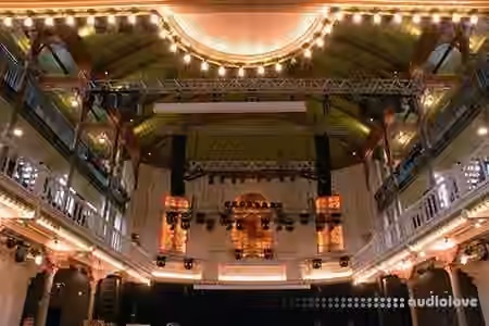 Hammerstein Ballroom for Audio Ease Altiverb [Plugins Presets]