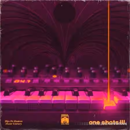 Hijo De Ramon Music Library ONE SHOTS Vol.3 [WAV]