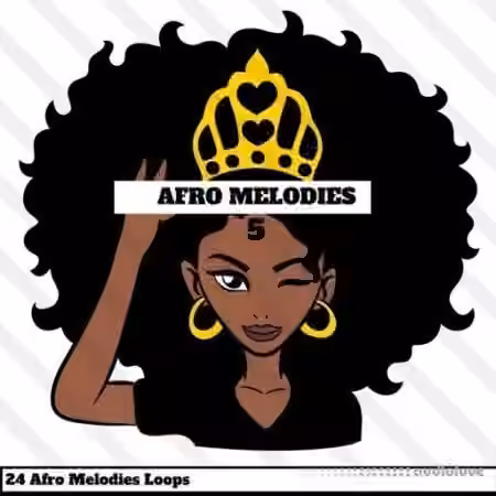 HOOKSHOW Afro Melodies 5 [WAV]