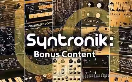 IK Multimedia Syntronik Bonus Content [Syntronik]
